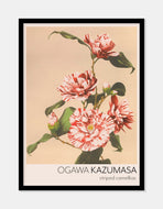 stribet kamelia  |  OGAWA KAZUMASA - decoARTE