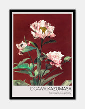 Indlæs billede til gallerivisning pæon  |  OGAWA KAZUMASA - decoARTE
