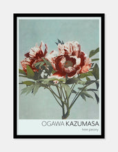 Indlæs billede til gallerivisning pæoner  |  OGAWA KAZUMASA - decoARTE
